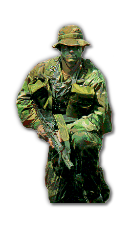army